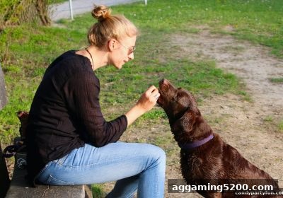 糖果派对试玩视角：极速彩注册用户回馈活动深度拆解
