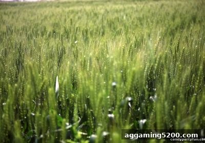 糖果派对试玩深度解析：首存福利领取与出款全攻略