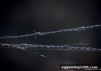 糖果派对试玩：PG老虎机如何筑牢个人信息安全防线